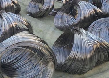 Bright SS Wire Rod 409 410 420 430 431 440 Grade Excellent Coil Forming Ability